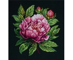 luca S Skaičiuojamas kryželiu siuvinėjimo rinkinys su lanku Komplekte ’’Peter Brand’’ Bijūnas 12x13cm SBC204