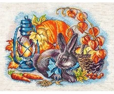 LetiStitch luca S Ruduo su triušiu 25x20 cm SLETIL8998