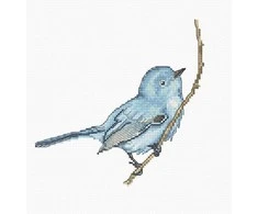 luca S Bluebird SB1158