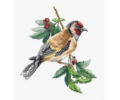 luca S Goldfinch bird SB1197