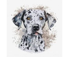 luca S Skaičiuojamas kryželiu siuvinėjimo rinkinys su lanku „The Dalmatian“ 15x16cm SBC208