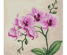 luca S Orchid SB2227