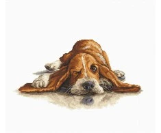 luca S Basset SB2341