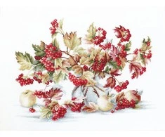 luca S Guelder Rose SB2272