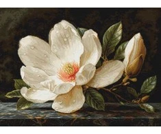 luca S Kryželiu siuvinėjimo rinkinys "The Magnolia Dew" 38x28cm SB713