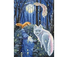 LetiStitch luca S (D) Vasarvidžio naktis 27x19,5cm SLETIL8060