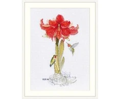Merejka Amaryllis SK202