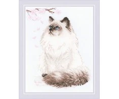 Riolis Meow Zen SR1878