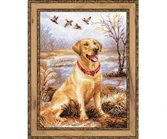 Riolis Labrador 1399