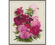 Riolis Sweet William 1463