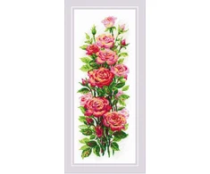 Riolis Liepos rožės 20x50 SR2057