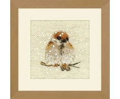 Riolis Sparrow SR1680
