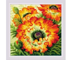 Riolis Ugniniai aguonos 40x40 SR2080