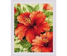 Riolis Hibiscus SR1967