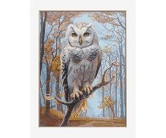 Riolis Kryželio rinkinys "Wildwood Owl" 30x40 cm SRA1016