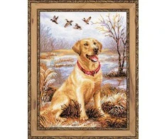 Riolis Labrador 1399