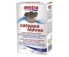 Amtra Pro Nature Catappa lapai 30vnt