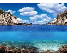AQUA NOVA fonas augalai/vandenynas 150x60cm