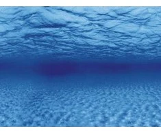 AQUA NOVA fonas šaknys/vanduo 150x60cm