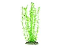 Aqua Nova NP-30 plastikinis augalas 30cm