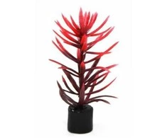 AQUA NOVA plastikinis augalas 8cm 5vnt