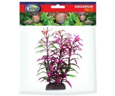 AQUA NOVA plastikinis augalas Hygro Araguais 20cm