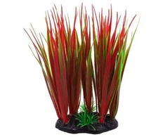 AQUA NOVA plastikinis augalas raudona/žalia 13cm