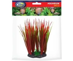 AQUA NOVA plastikinis augalas raudona/žalia 13cm
