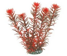 AQUA NOVA plastikinis augalas Rotala Indica 20cm