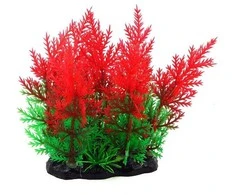 AQUA NOVA plastikinis augalas žalia/raudona 13cm