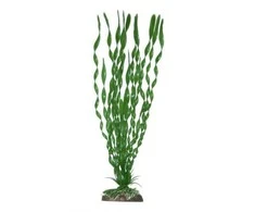 Croci Spa Valisnerija plastikinis augalas 12cm