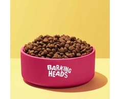 Barking Heads Puppy Days kalakutiena šuniukams su kalakutiena 2kg