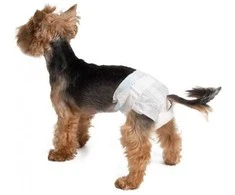 Croci Spa Dog Nappy sauskelnės šunim XS 1-2kg 14vnt.