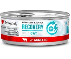 DISUGUAL Recovery kons katėms su ėriena 85g