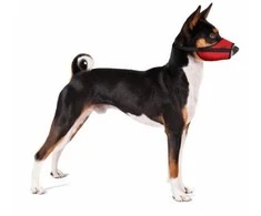 Grande Finale Antsnukių VET komplektas 6vnt (Veterinarinis)