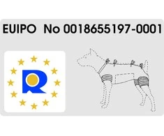 Grande Finale Pooperaciniai marškinėliai (oranž) XL 51cm