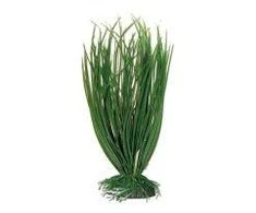 Croci AMTRA ACORUS plastmasinis augalas vidutinis 17cm 1vnt