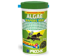 Prodac Algae Wafers Mini augalinės tabletės 7-8mm skersmens, dugninėms žuvims 100ml 50g