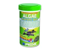 Prodac Algae Wafers Mini augalinės tabletės 7-8mm skersmens, dugninėms žuvims 250ml 135g