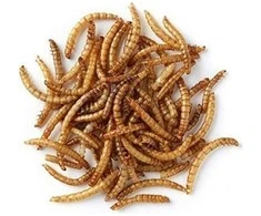 PRODAC Mealworms džiovinti milčiai 250ml