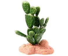 REP NOVA terariumo dekoracija kaktusas 15cm