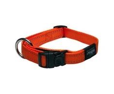 Rogz antkaklis atšvaitas šuniui Reflective HB11D (plotis 1,6cm; apimtis 26-40cm)