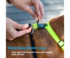 Rogz Stop Pull Harness raudonos petnešos 45-75cm