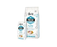 Brit Fresh Dog žuvis su moliūgu Suaugęs Didelis 12kg