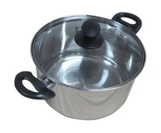 Lamart puodas iš ner.pl.24cm 5,8l