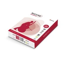 Igepa popieriaus kopijavimo aparatas biurui Maestro Standard Plus B klasė 94918A80 (A4; 80g/m2; 500 lapų; baltas, matinis popierius)