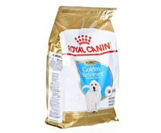 Royal Canin Golden Retriever Junior sausas maistas šuniukams 3kg