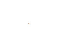 Royal Canin Norwegian Forest Cat Adult sausas maistas katėms 400g paukštiena