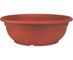 Marchioro dubuo Ebla 17 molio spalvos