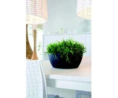 Nicoli ø30x12cm dubuo Thetis 30 antracito spalvos